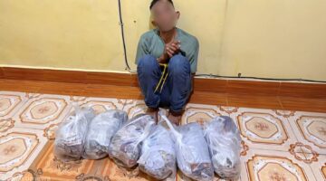 Kejar Jaringan Pemasok Ganja, Bea Cukai Lhokseumawe dan Bareskrim Polri Tangkap Kurir di Nagan Raya