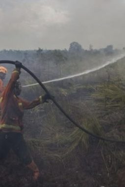 berita-rekomendasi-foto
