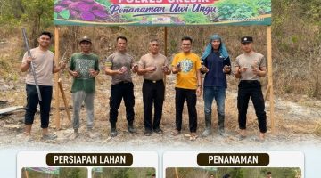 Polres Gresik Gencarkan Program Ketahanan Pangan Melalui Penanaman Uwi Ungu di Bukit Randuagung